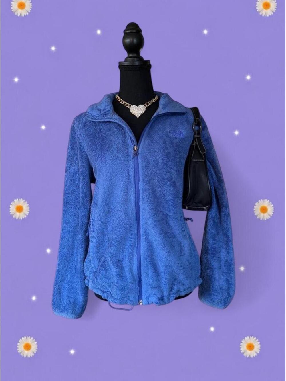 The North Face Gorpcore Outdoor Blue Fleece Zip Up Jacket Size Medium 💙